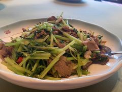 -红星渔村(将军石店)