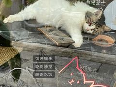 -荔湾湖公园