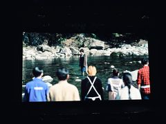 -曹杨影城(曹杨店)