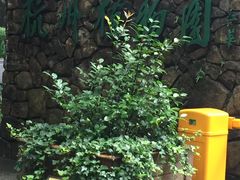 -山外山菜馆(玉泉路店)