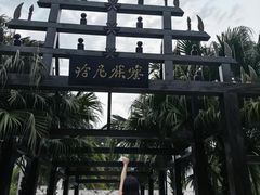 -云南民族村