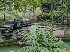 -成都市活水公园