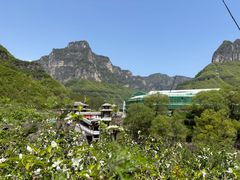 -王莽岭风景区