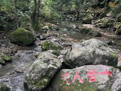 -香炉山国家森林公园