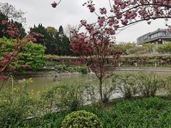-嘉定紫藤园