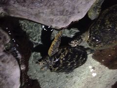 iphone_upload_pic-郑州海洋馆