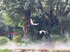 -广州长隆飞鸟乐园