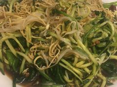 麻酱凉菜-满汉楼(安发桥店)
