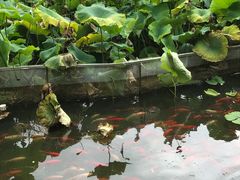 景点-月牙潭公园