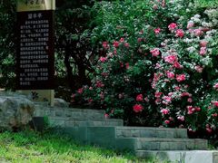 -丰台花园