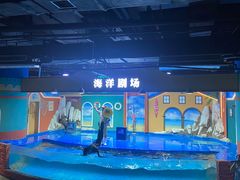 -重庆欢乐海底世界