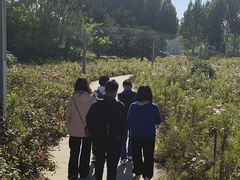 -兴安湖生态运动公园