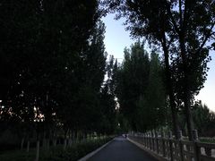 -汉长安城未央宫国家考古遗址公园