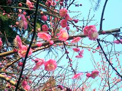 -白塘生态植物园