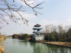 -苏州太湖国家湿地公园