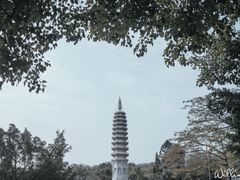 -南普陀寺