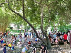 -成都市活水公园