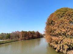 -上海海湾国家森林公园