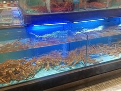 -阿伟海鲜楼·福建菜(延寿店)
