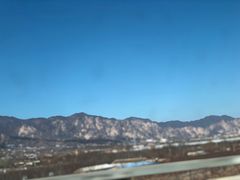 -闻道食府烙饼卷带鱼(原车耳营店原大觉寺店)