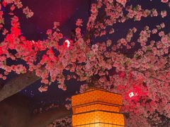 -荷塘秋月·本帮江浙菜(国权路店)