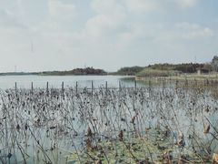 -东滩湿地公园观海楼餐厅