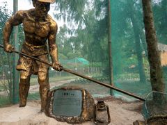 -北海金海湾红树林生态旅游区