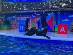 -成都浩海立方海洋公园