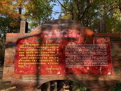 -东平国家森林公园