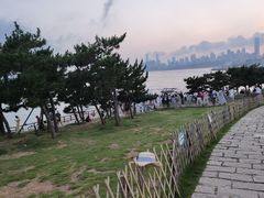 -小麦岛公园