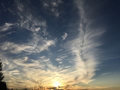 -塞罕坝国家级自然保护区