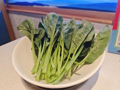 -蒙都43°9羊火锅·赤峰美食(桥北店)