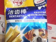 -宠物星动物医院·眼科·异宠·猫科(江南大道总院)