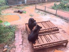 -昆明动物园