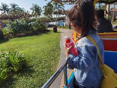 -三亚亚龙湾天域度假酒店