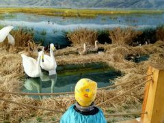 模拟野鸭湖-延庆地质公园博物馆