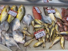 -渔满仓海鲜渔家(象山二店)
