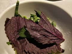 紫苏叶-鲜潭蒸汽石锅鱼(五道口购物中心店)