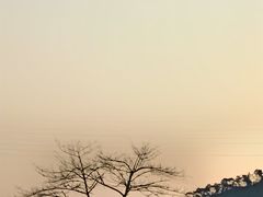 -风云岭森林公园