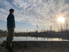 -三圣花乡旅游区