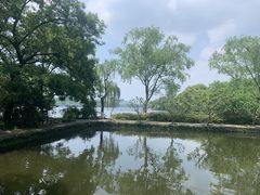 -西湖外事游船(花港观鱼码头)