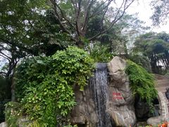 -九龙公园