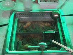 -野妹火锅(龙岗店)