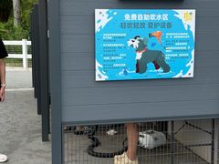 -爪吧宠物乐园·宠物泳池(温榆河示范区店)
