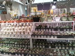 -KKV(深圳宏发大仟里店)