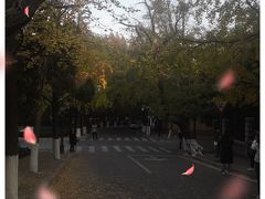 -八大关景区