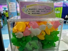 -水立方嬉水乐园
