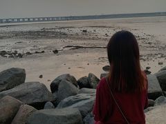 -宝安西湾红树林湿地公园