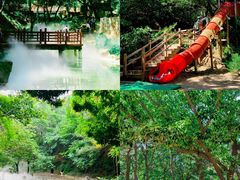 -北京西山国家森林公园