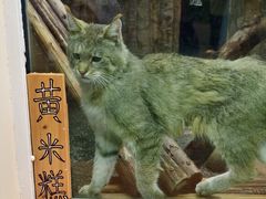-青藏高原野生动物园
